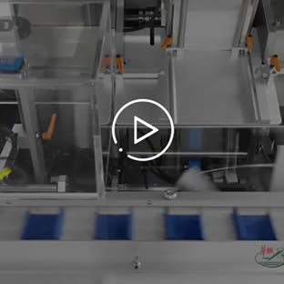 Automatic Cartoning Machine